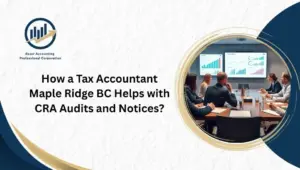 Tax Accountant Maple Ridge BC